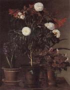 Jensen Johan Gardenia and Amaryllis Germany oil painting reproduction